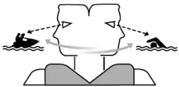 YAMAHA WaveRunner FX SVHO Cruiser (2022) - Apprendre à utiliser le scooter nautique - 1