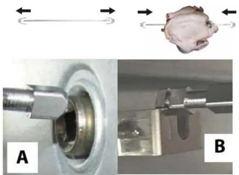 CASO TO 20 oven - Utilisation de la broche tournante - 1
