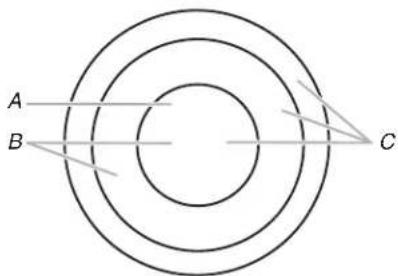 WHIRLPOOL WCE97US6KB - Elemento doble/triple - 1