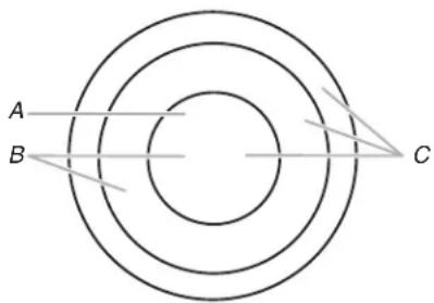 WHIRLPOOL WCE97US6KB - Éléments double/triple - 1
