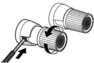 TECHNICS SBC600 - Connexion de l'enceinte - 2