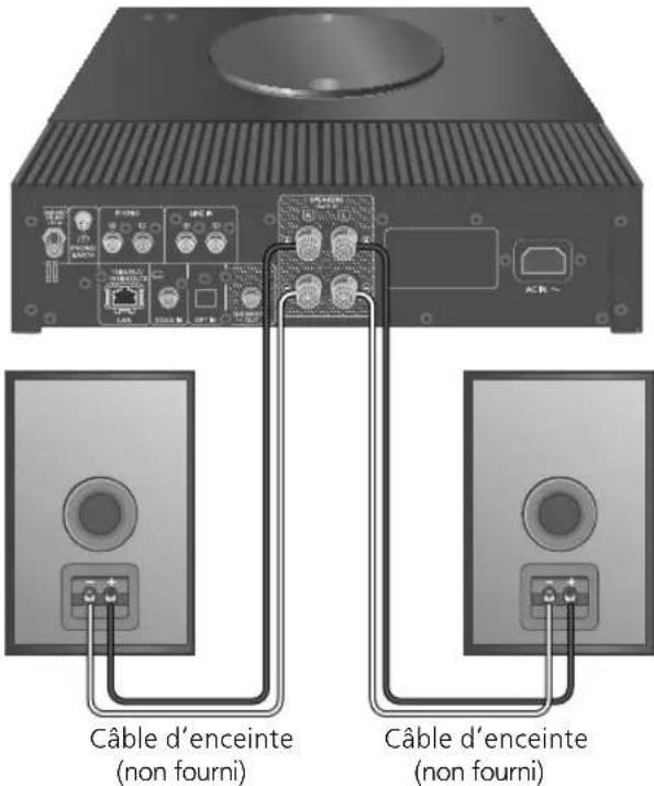 TECHNICS SBC600 - Connexion de l'enceinte - 1
