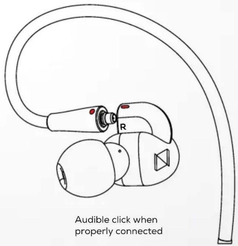 AKG N5005 - CABLES - HOW TO CONNECT ^(2) - 4