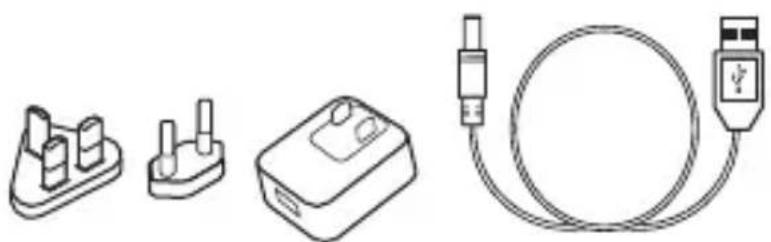 ACER CastMaster - 6
