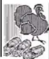 OLIVETTI form 100 - 22 - 1