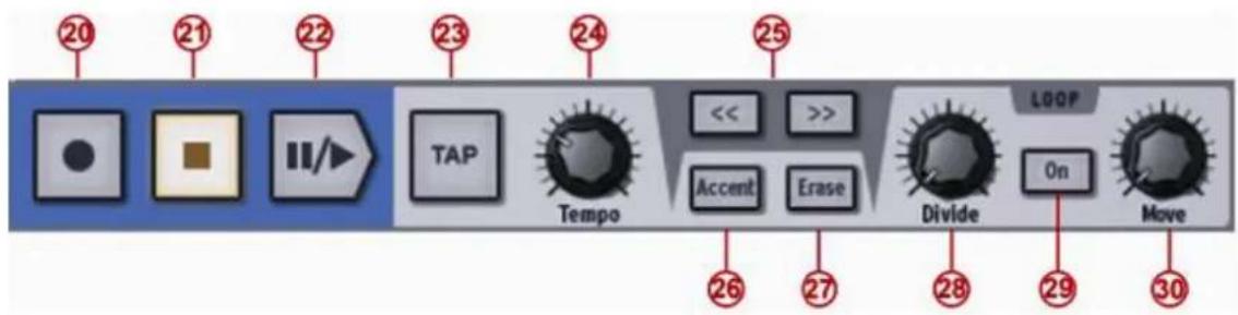 Arturia Spark 2 - LE PANNEAU CENTRAL (SPARK CREATIVE) - 4