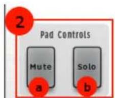 Arturia Spark 2 - La zone de contrôle des pads - 1