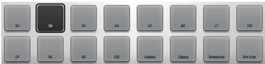Arturia Spark 2 - Les Pads - 1