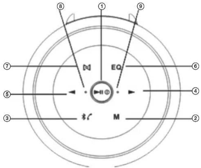 ECG BTS L1 - POPIS - 1