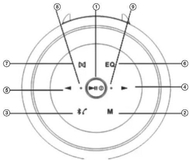 ECG BTS L1 - OPIS - 1