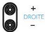 DEFINITIVE TECHNOLOGY Descend DN15 - ENTREE LIGNE - 4