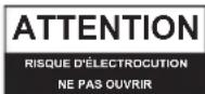 DEFINITIVE TECHNOLOGY Descend DN15 - Précautions de sécurité - 2