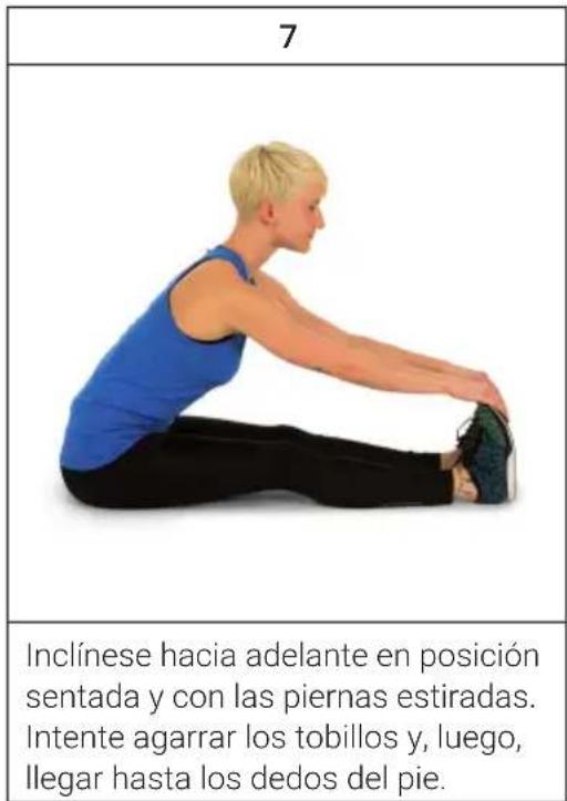 Capital Sports Evo Deluxe Cardiobike - Comida ybebida - 2