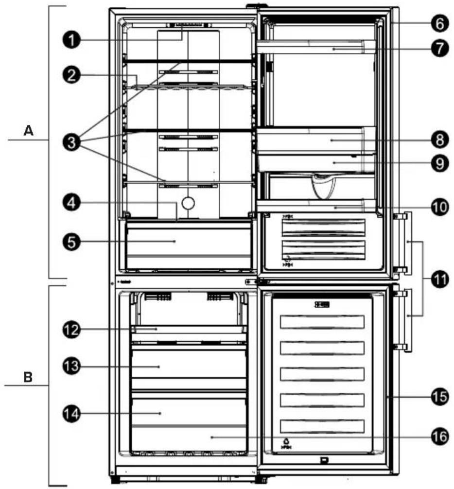 HISENSE RB372N4CCD - B: Gefrierschrank - 1