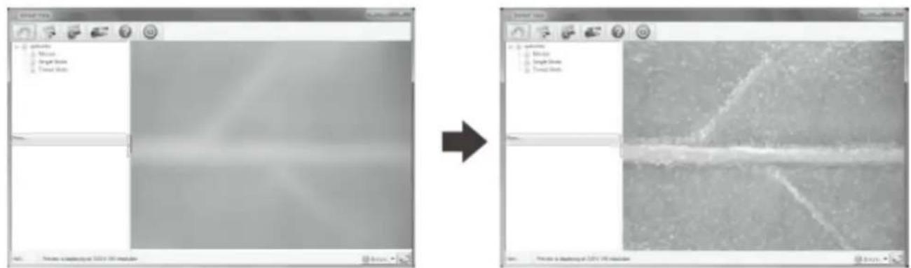 Reflecta DigiMicroscope Flex - Für eine 60-fache Vergroßerung (17" Monitor) - 2