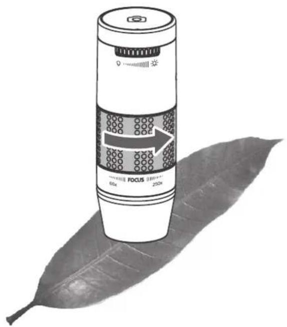 Reflecta DigiMicroscope Flex - Viewing directly on an object - 1