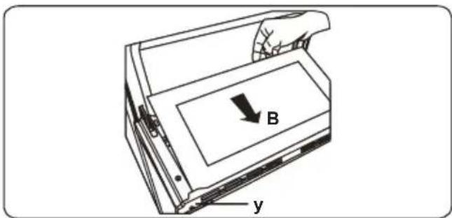 B y