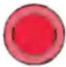 POLARIS P2000i (2020) - SMART THROTTLE - 3