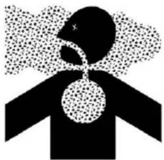 POLARIS P2000i (2020) - AVERTISSEMENT - 1