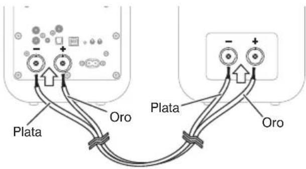 Q-ACOUSTICS M20 HD - Conexión entre altavoces - 1