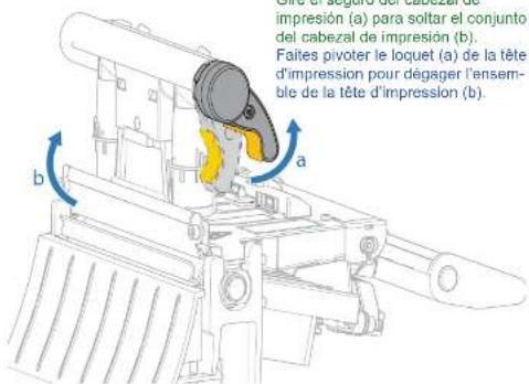 ZEBRA ZT231 - Ouvrez le capot d'accès aux supports - 3