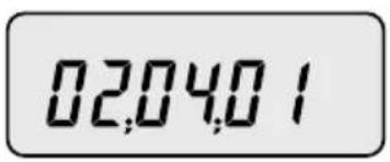 CAS 859425 - How to Enter Date - 9