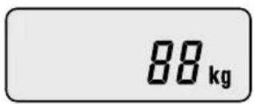 CAS 859425 - 1.Pesage simple - 2