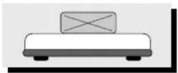 CAS 859425 - 1.Pesage simple - 5