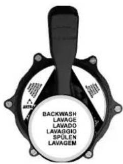 BACKWASH LAVAGE LAVADO LAVAGGIO SPULEN LAVAGEM