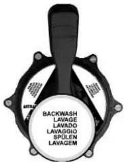 ARTAL BACKWASH LAVAGE LAVADO LAVAGGIO SPULEN LAVAGEM