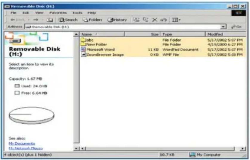 BELKIN F5U025TT128MB - Verwenden der Software (Belkin U-Storage) auf Windows-Plattformen - 2