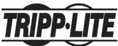Tripp Lite SmartRack SR42BMDEXPNDNR3 - Note on Labeling - 1