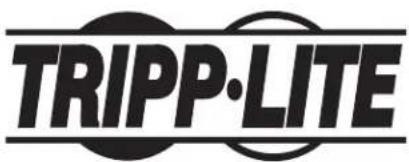 Tripp Lite SmartRack SR2POSTDP24HD - (opcional) - 8