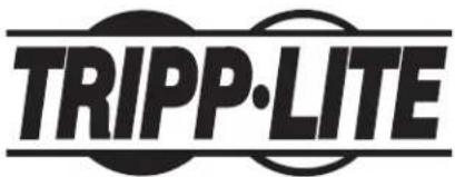 Tripp Lite SmartRack SR2POSTDP24HD - (facultative) - 8