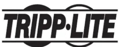 Tripp Lite SmartRack SRW9U - Copepkanhe - 1