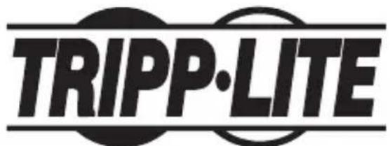 Tripp Lite U442DOCK17GY - WEEE-Compliance-Informationen for Tripp-Lite-Kunden und Recycler (Europäische Union) - 2