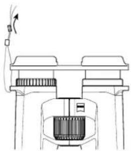 ZEISS Victory SFL 10x40 - 13