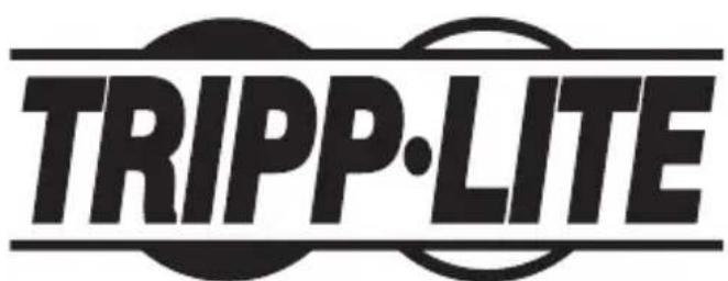 Tripp Lite N206FP01IND - Información de Cumplimiento con WEEE por los CLIENTES y Recicladores de Tripp Lite (Unión Europea) - 2