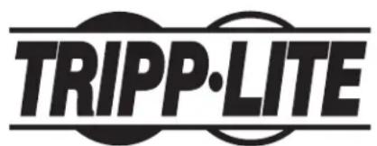 Tripp Lite P778006DP - Renseignements sur la conformité à la directive DEEE pour les clients de Tripp Lite et les recycleurs (Union européenne) - 2