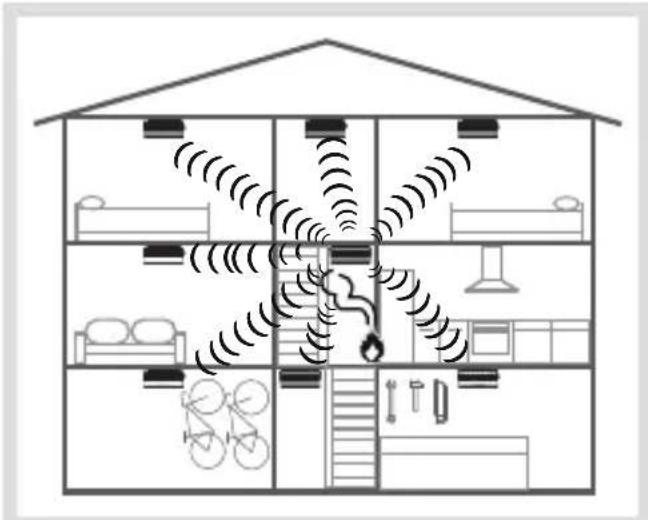 HAGER TG550A - Een melder in een network opnemen - 1