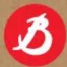 de Buyer Swing Plus 001100 - VOORZORGSMAATREGELEN - 2