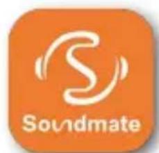 Imperial DABMAN i560 CD - Operation via the app - 4