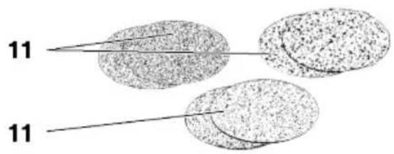 PROXXON TG 125E - Pycckn - 5