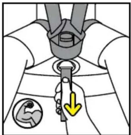 BESAFE Stretch B - 43