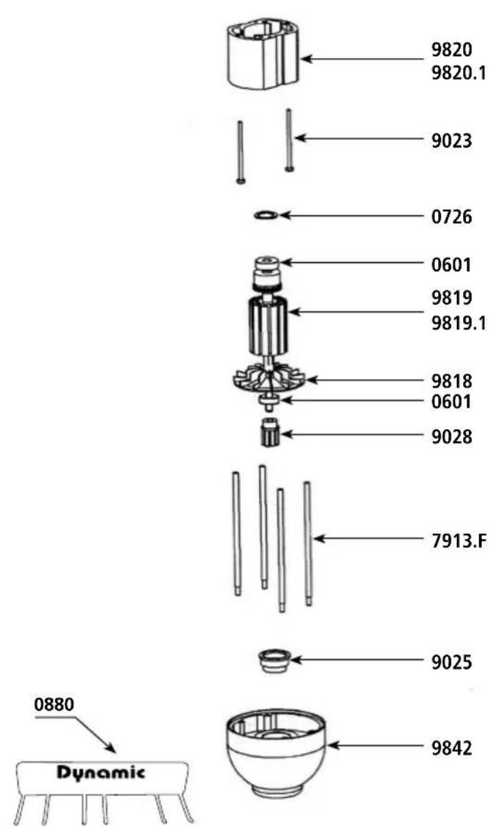 Dynamic Senior 551250 - AC005 - 2