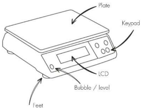 Louis Tellier 208066 - ASSEMBLY - 1