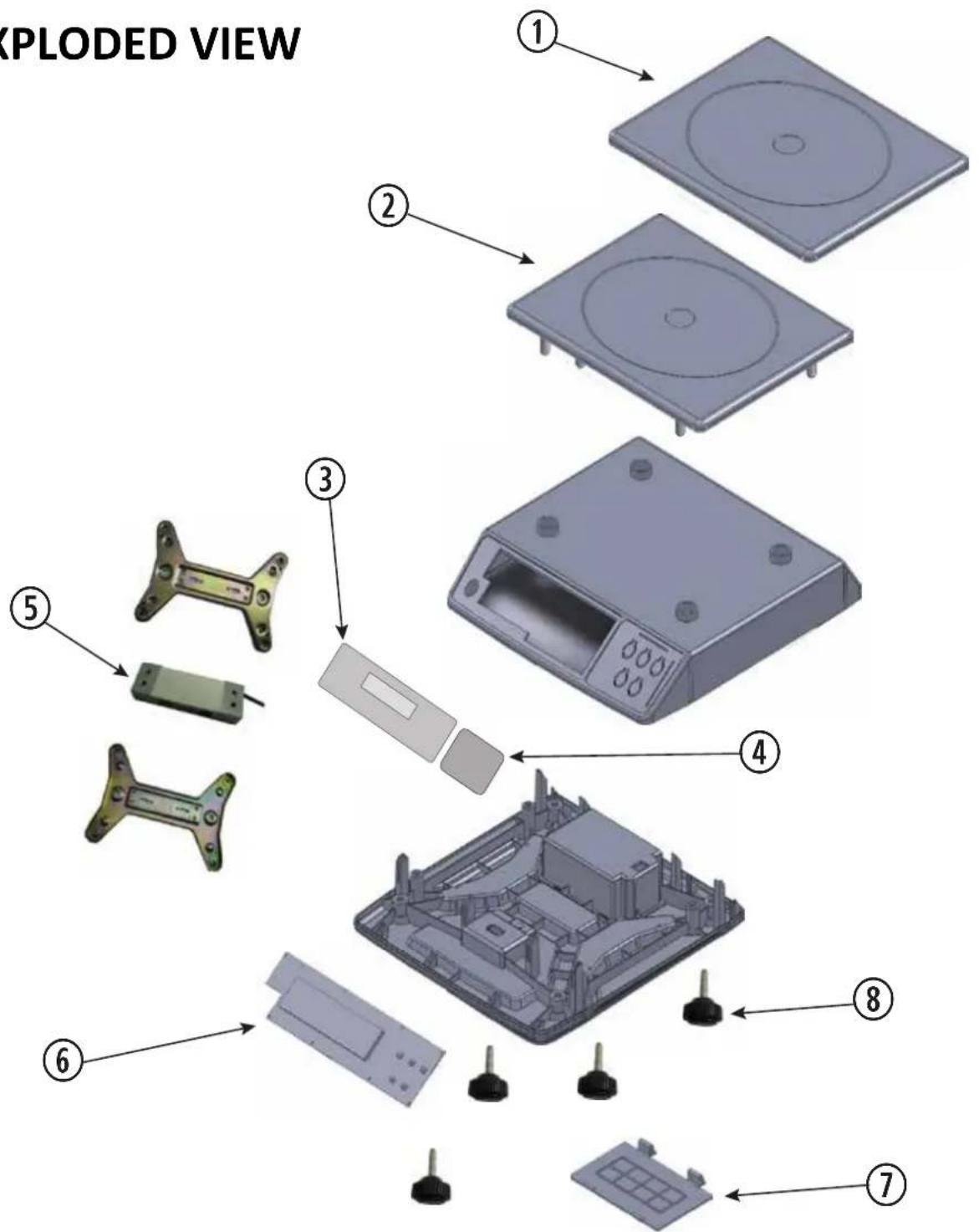 Louis Tellier 208066 - KEY RECOMMENDATIONS - 1