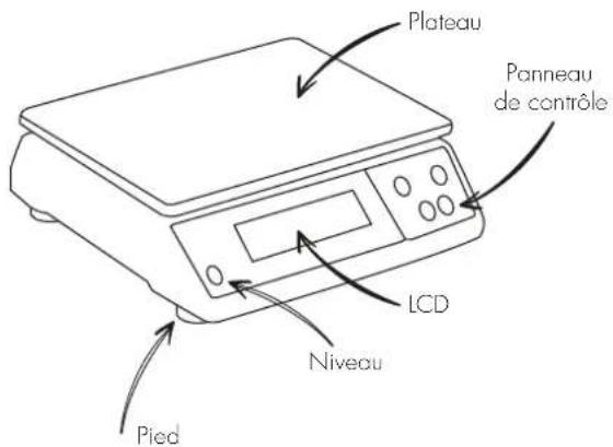 Louis Tellier 208066 - 1