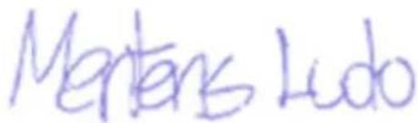 PowerPlus POWDP6030 - VAATIMUSTENMUKAISUUSVAKUUTUS - 2