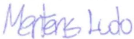 PowerPlus POWDP6030 - CONFORMITEITSVERKLARING - 3